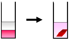 Image indicates liquid-liquid-crystal diffusing.