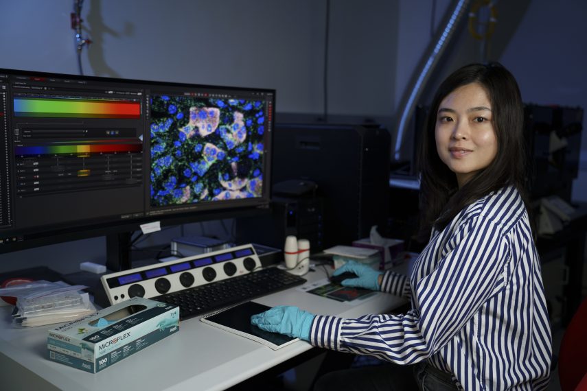 Associate Professor Xiao Wang sits at a desk in front of a computer screen that displays an image of RNA in cells.