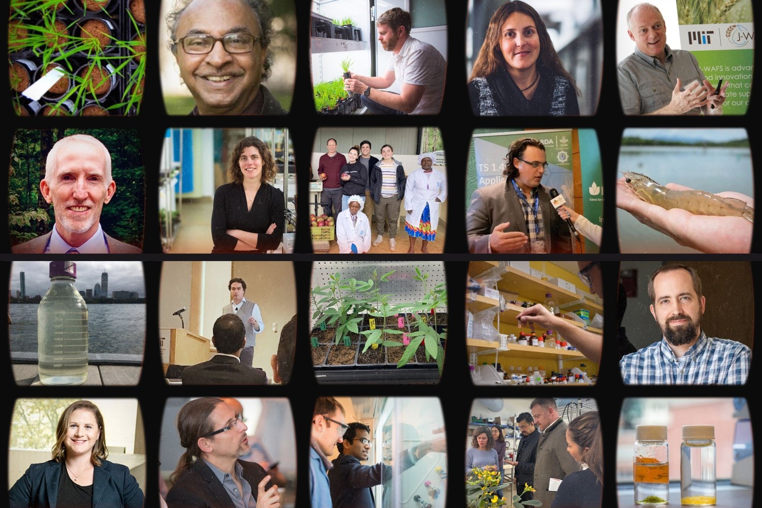 A grid of photos that includes individual photos of professors, photos of lab groups, and photos of plant material, chemicals, and the Charles River.